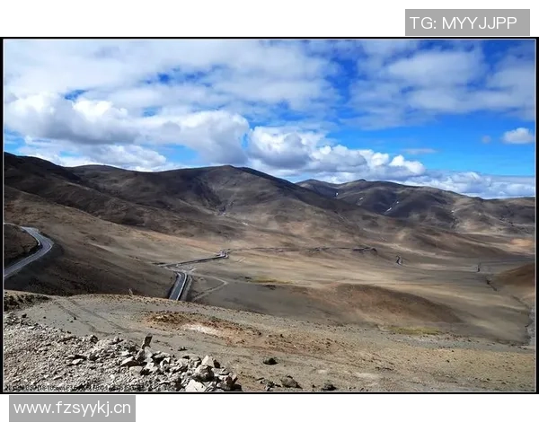 追梦西部挑战虽艰难但我们与湖船携手共创辉煌争夺冠军